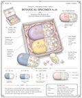 Pill Crystal Soap